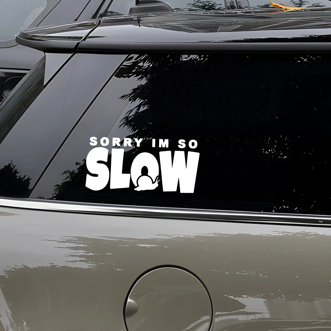 Sorry I M Too Slow Snail Crawling Warning Original
