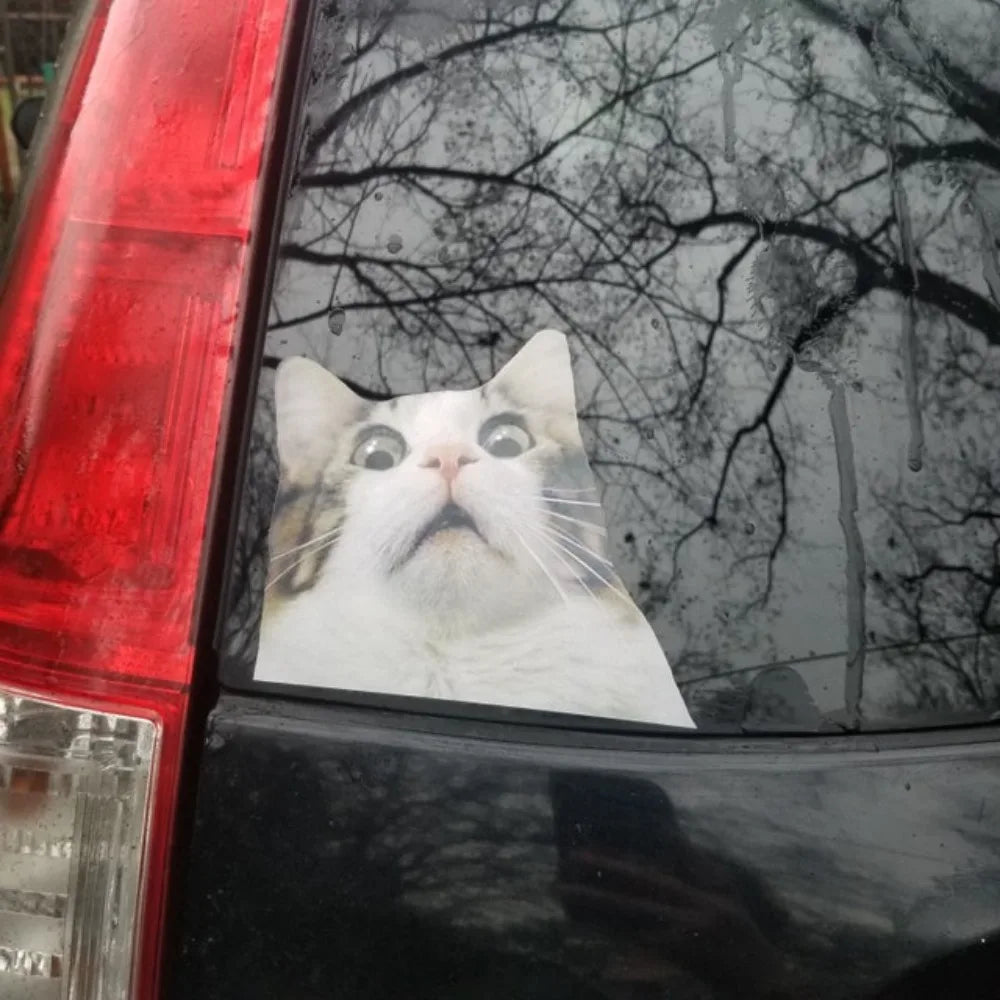 For Body Windshield Window Trunk Vinyl 1PC Scaredy Cat Stickers