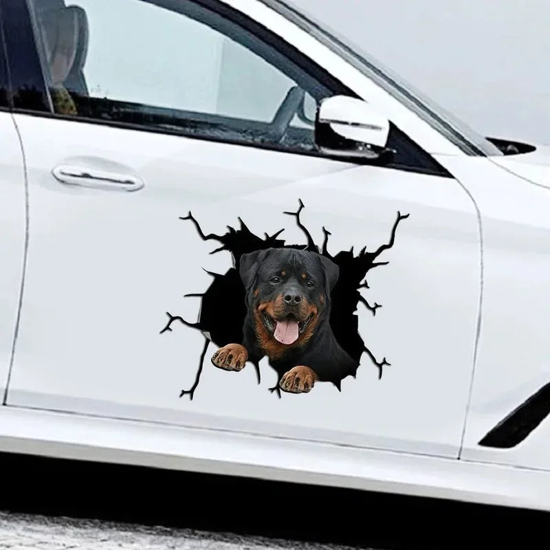 Sticker Ripped Cute Rottweiler Stick Out Its Tongue Peek