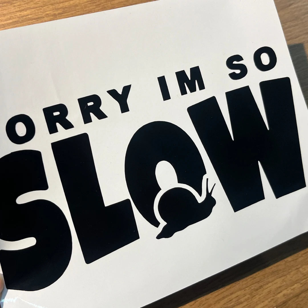 Sorry I M Too Slow Snail Crawling Warning Original