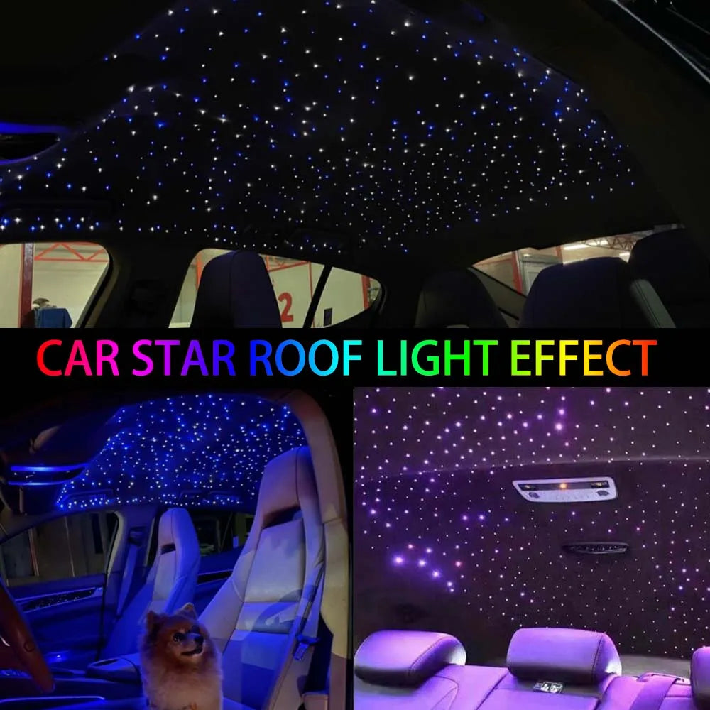 16W Rgbw Double Head Fiber Optic Star Ceiling Twinkle