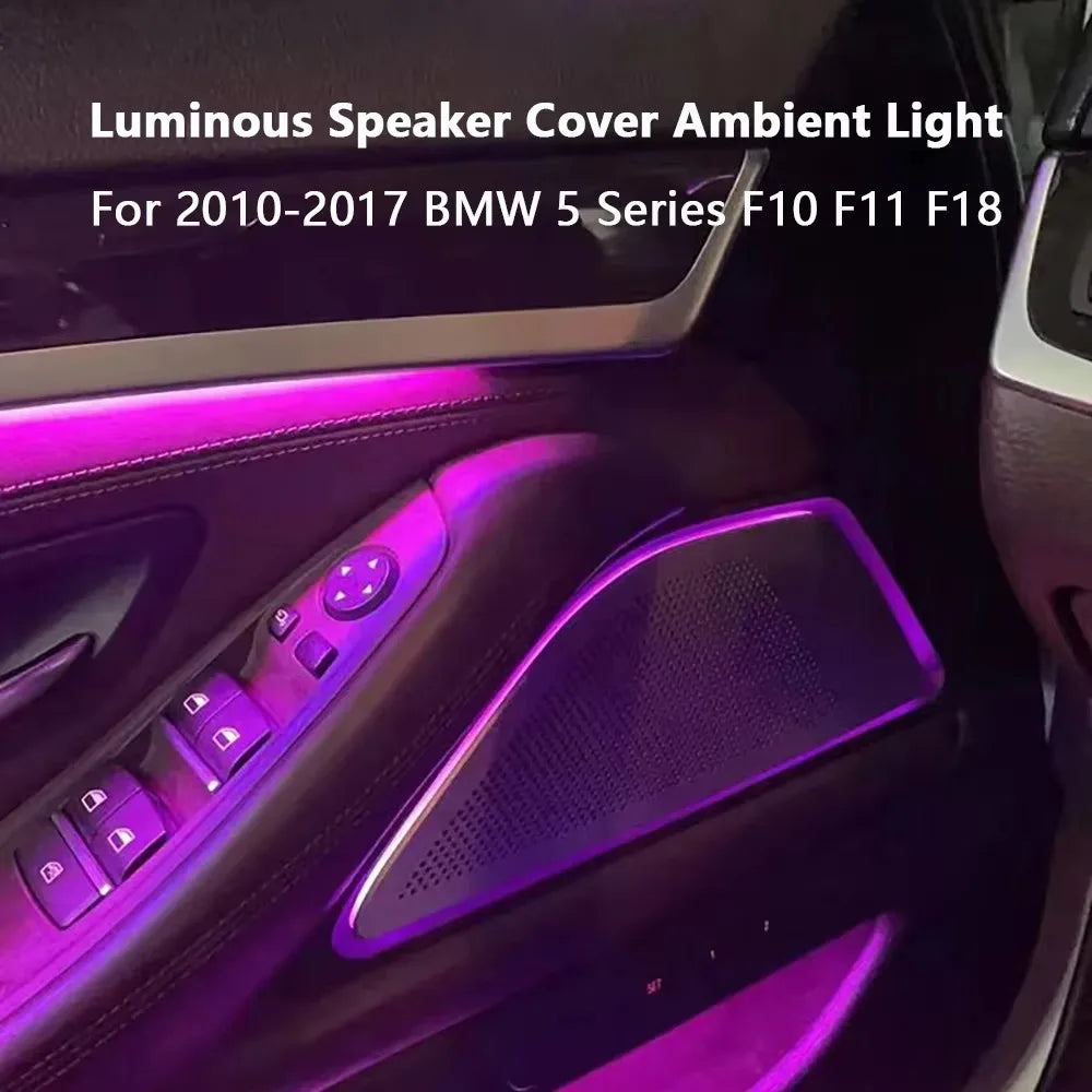 For Retrofit Ambient Lighting BMW 5 Series F10 F11 F18 Horn