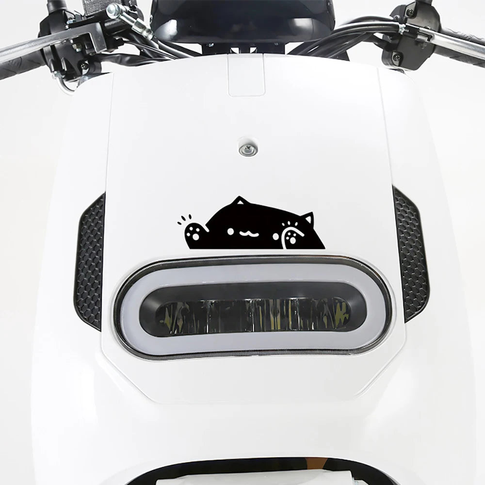 Cute Personality Cat Sticker Kitten Knocking On Window Body