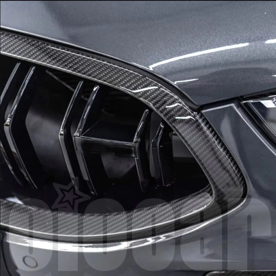 For BMW F91 F92 F93 M8 Good Oiomotors Dry Carbon Fiber Front