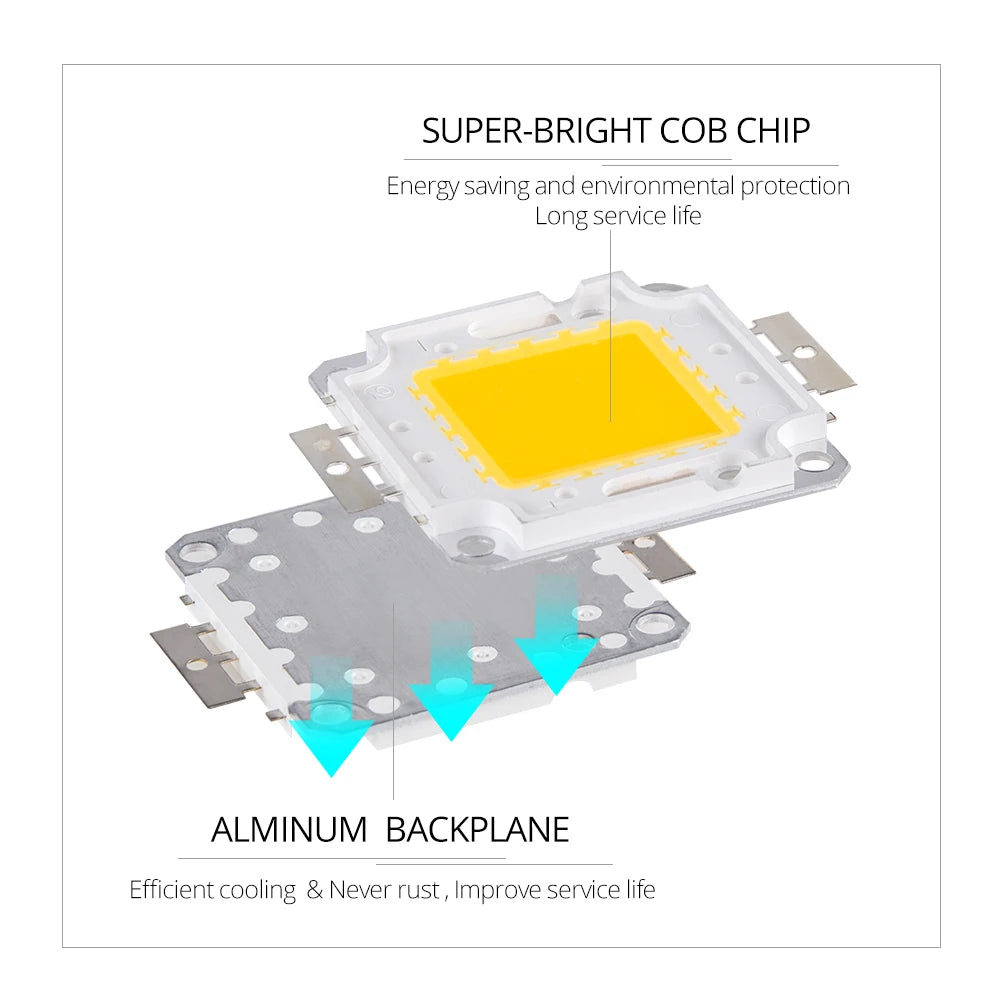 5PCS Lot 10W 20W 30W 50W 100W Cob Chip