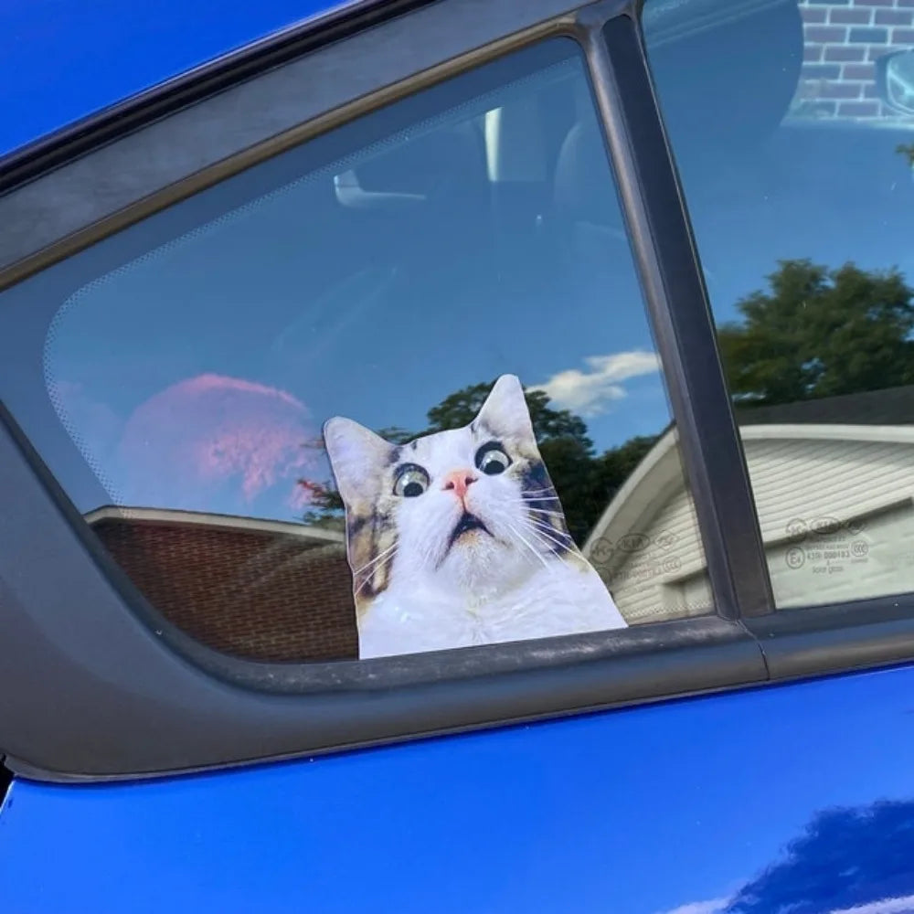 For Body Windshield Window Trunk Vinyl 1PC Scaredy Cat Stickers