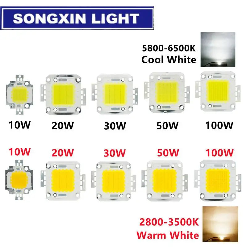 5PCS Lot 10W 20W 30W 50W 100W Cob Chip