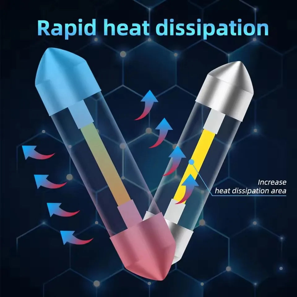 12V Reading double-point Interior C5W Lighting Rear Roof Bulb
