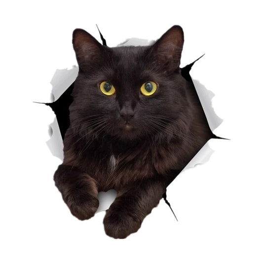 S30979 self-adhesive Decal Resting Black Cat Sticker Motorcycle