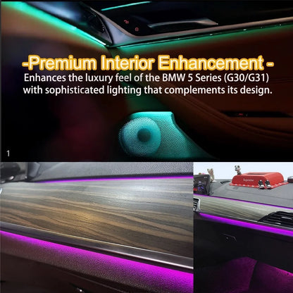 For BMW 5 Series G30 G31 Rsnavi Factory Settings 2017-2023 Oem