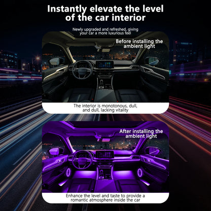 For Honda Prelude 2026 Gradient Fade Dedicated Fit In RGB