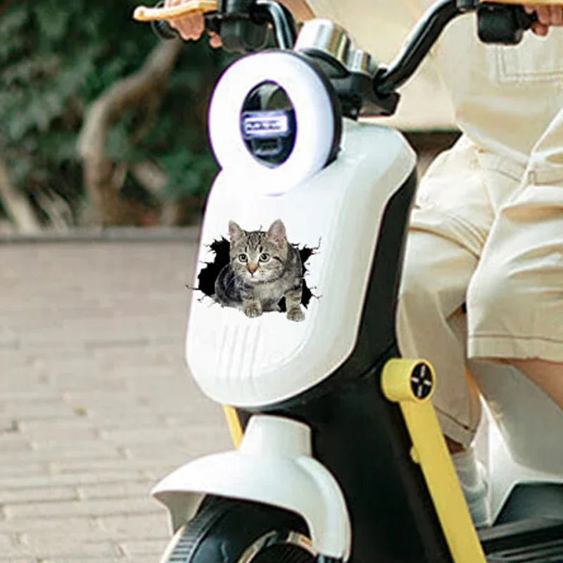 For Window Bumper Cute 3D Durable Cat Pattern Sticker Body