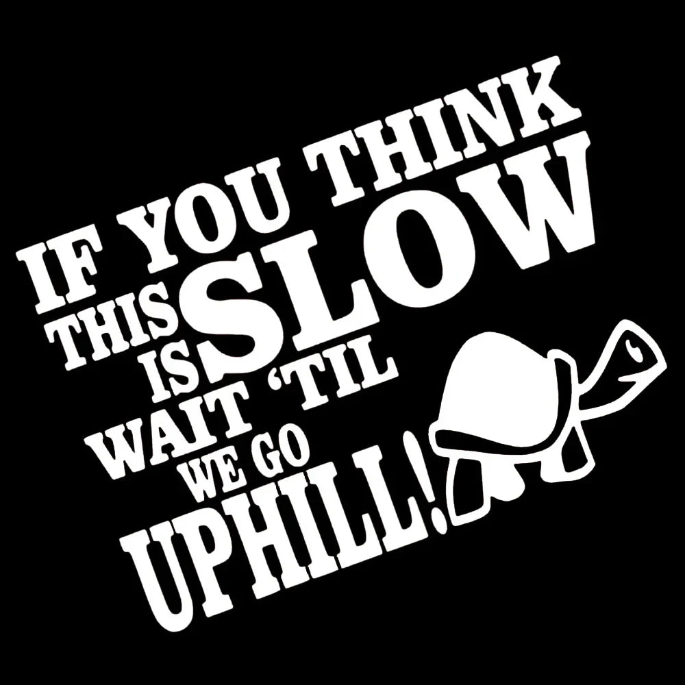 17CM Funny Tortoise Sticker If You Think This Is