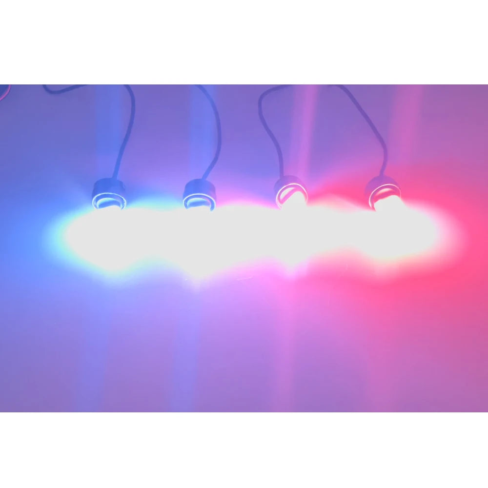 In Xenon Strobe Flashlight Warning Flash light-704-4