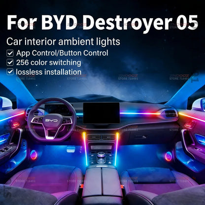 For BYD Destroyer05 22IN1 RGB Interior Acrylic Ambient Hidden