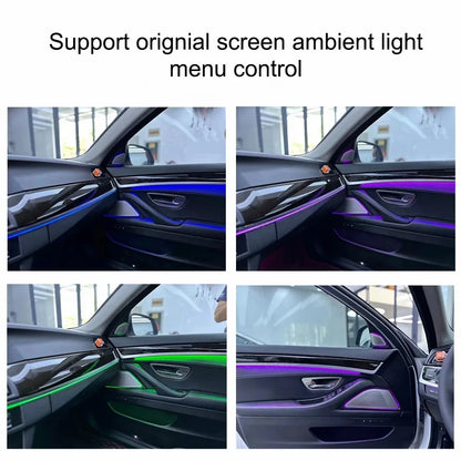 For BMW 5 Series F10 F11 Oem Dedign Ambient Lighting Support