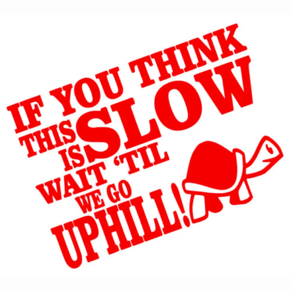 17CM Funny Tortoise Sticker If You Think This Is