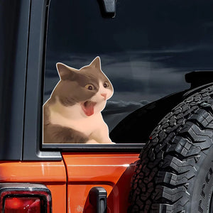Fun Funny Creative Stickers Cat Pattern Body Decal Windshield