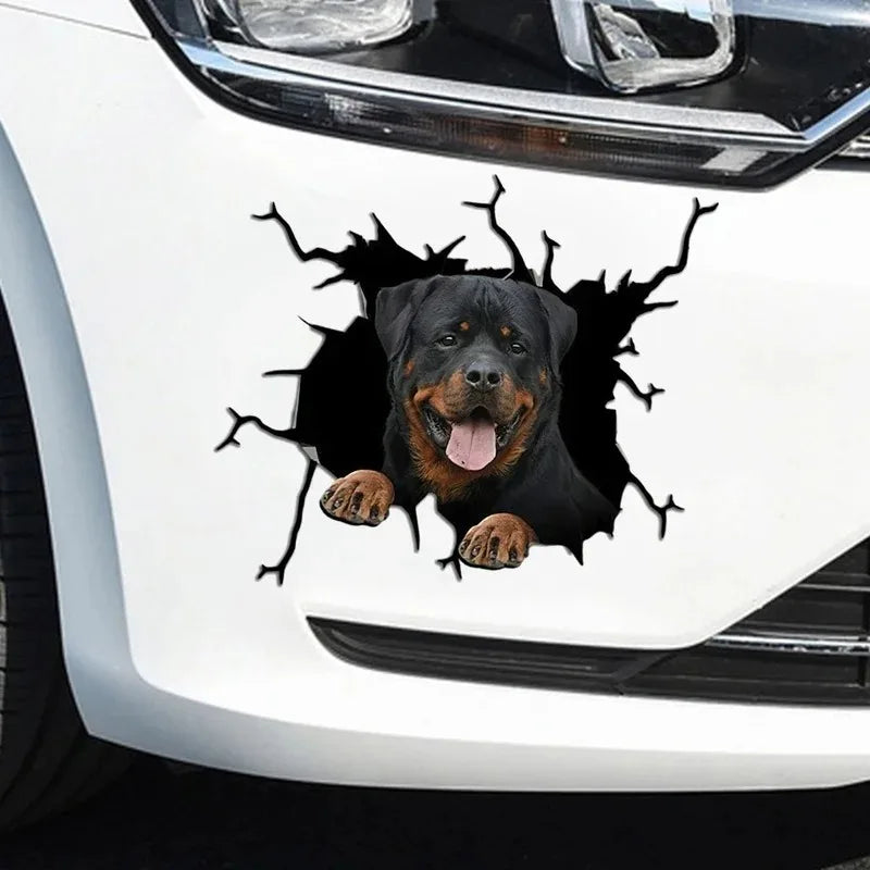 Sticker Ripped Cute Rottweiler Stick Out Its Tongue Peek