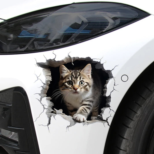 3D Cat Stickers Body Bumper Cover Scratches Motorcycle Front