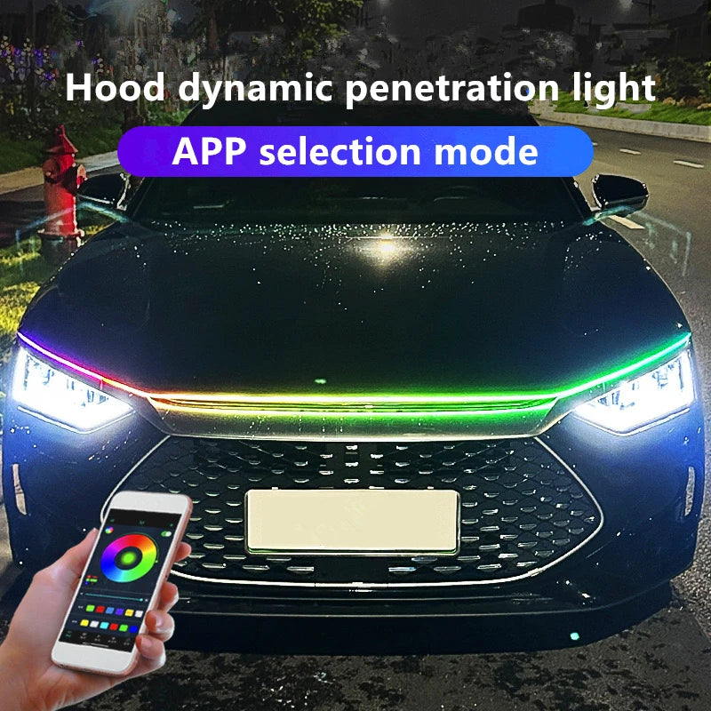 Hood Strip Exterior Modification APP Controlled Atmosphere