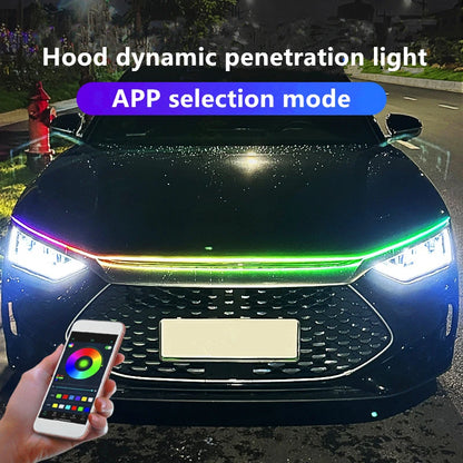 Hood Strip Exterior Modification APP Controlled Atmosphere