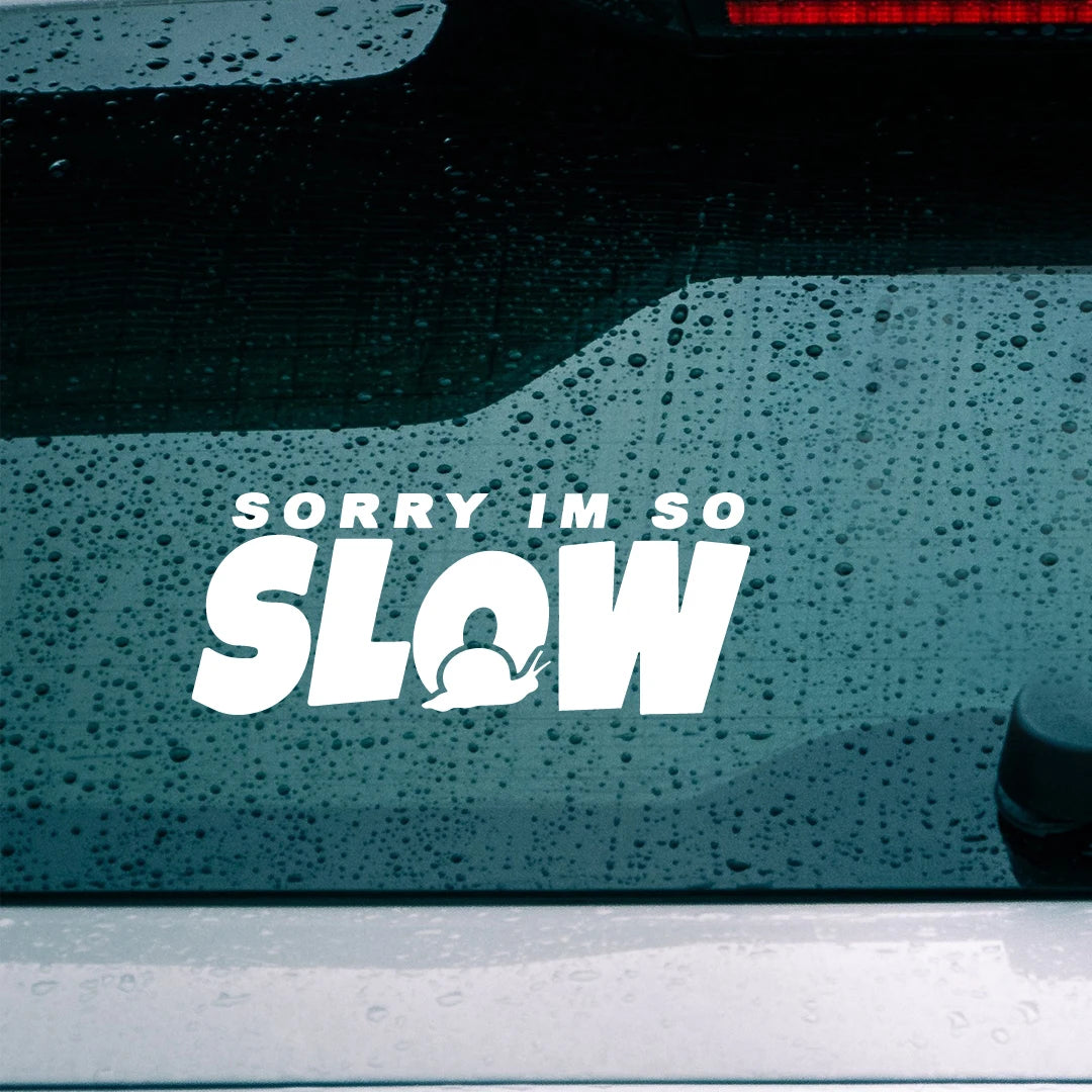 Sorry I M Too Slow Snail Crawling Warning Original