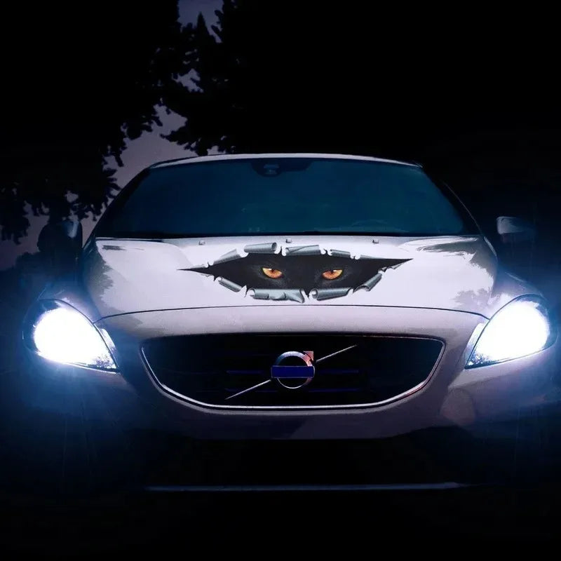 3D Simulation Peeping Cat Eye Sticker Body Dents Scratches