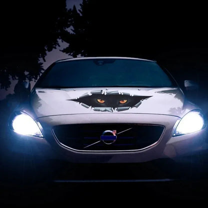 3D Simulation Peeping Cat Eye Sticker Body Dents Scratches