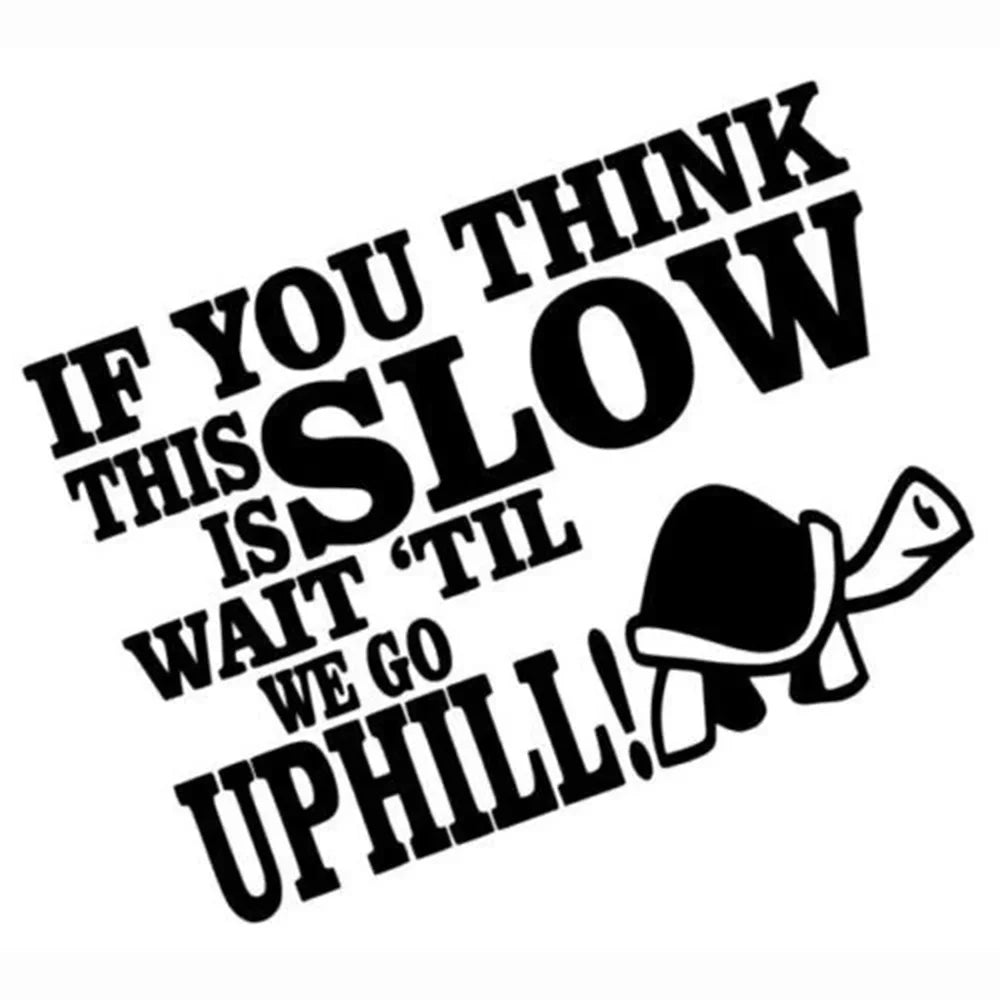 17CM Funny Tortoise Sticker If You Think This Is