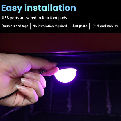 Interior USB Neon Kit In Atmosphere Hallowmas Garden Party