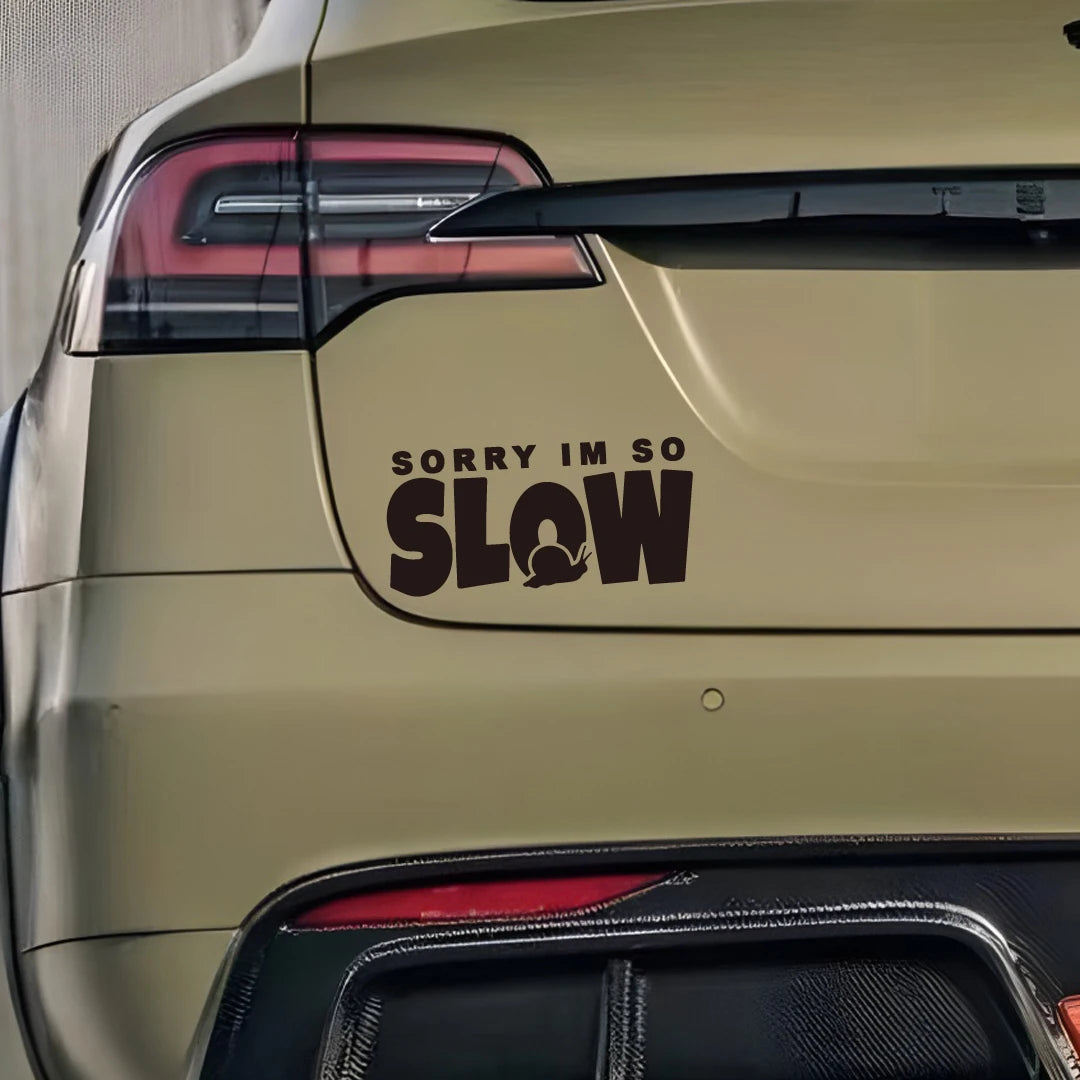 Sorry I M Too Slow Snail Crawling Warning Original