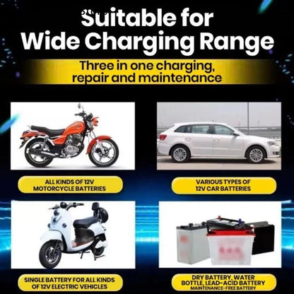 4ah-20ah 12V Battery Charger 220V Power Puls Repair Wet
