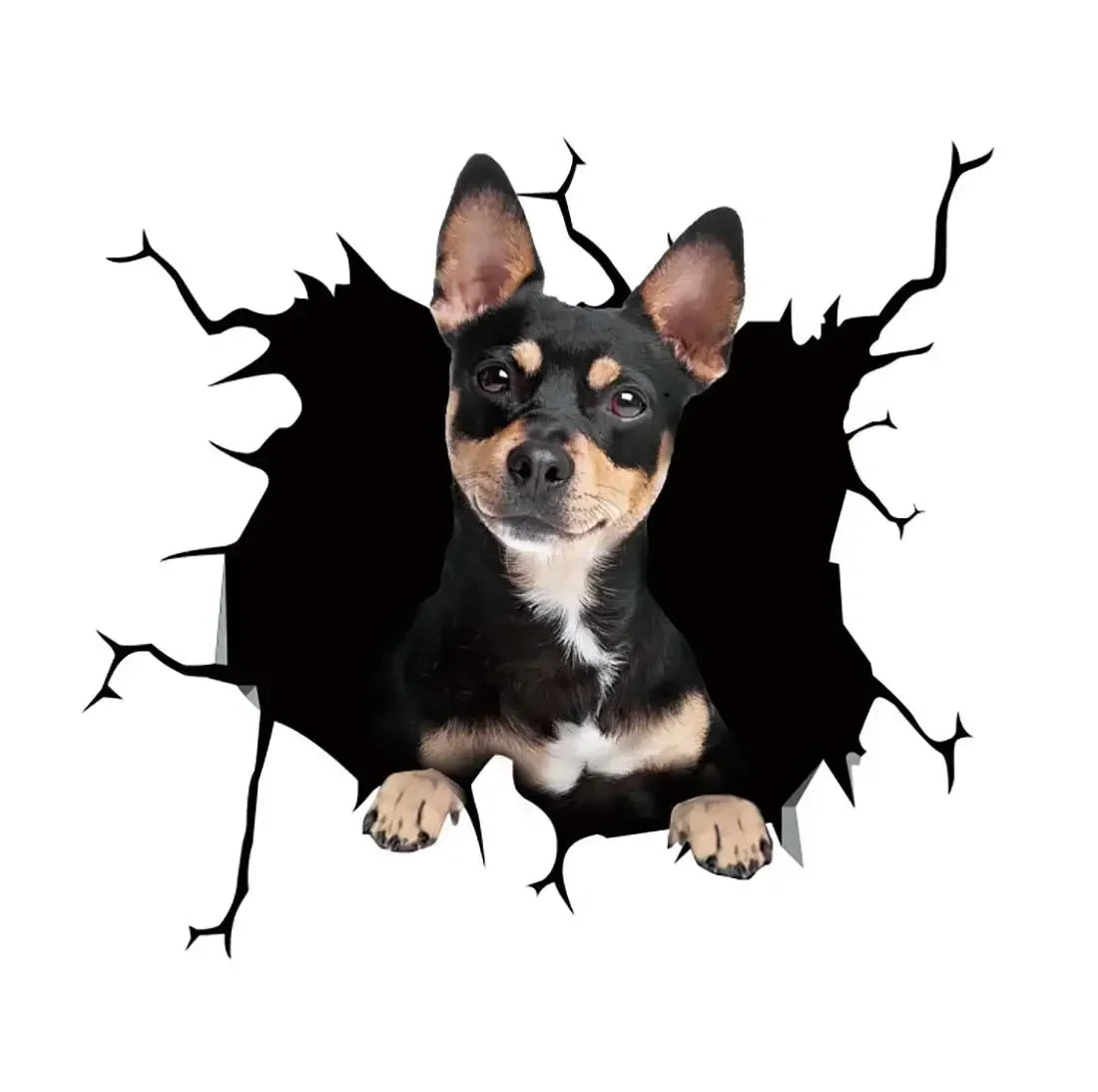 Stickers Motorcycle Puppy Broken Window 3D Simulation French