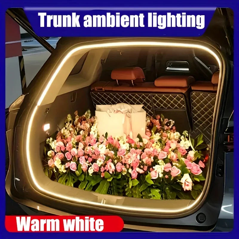 Brightness Trunk Lighting Ambient Interior Wiring Automatic