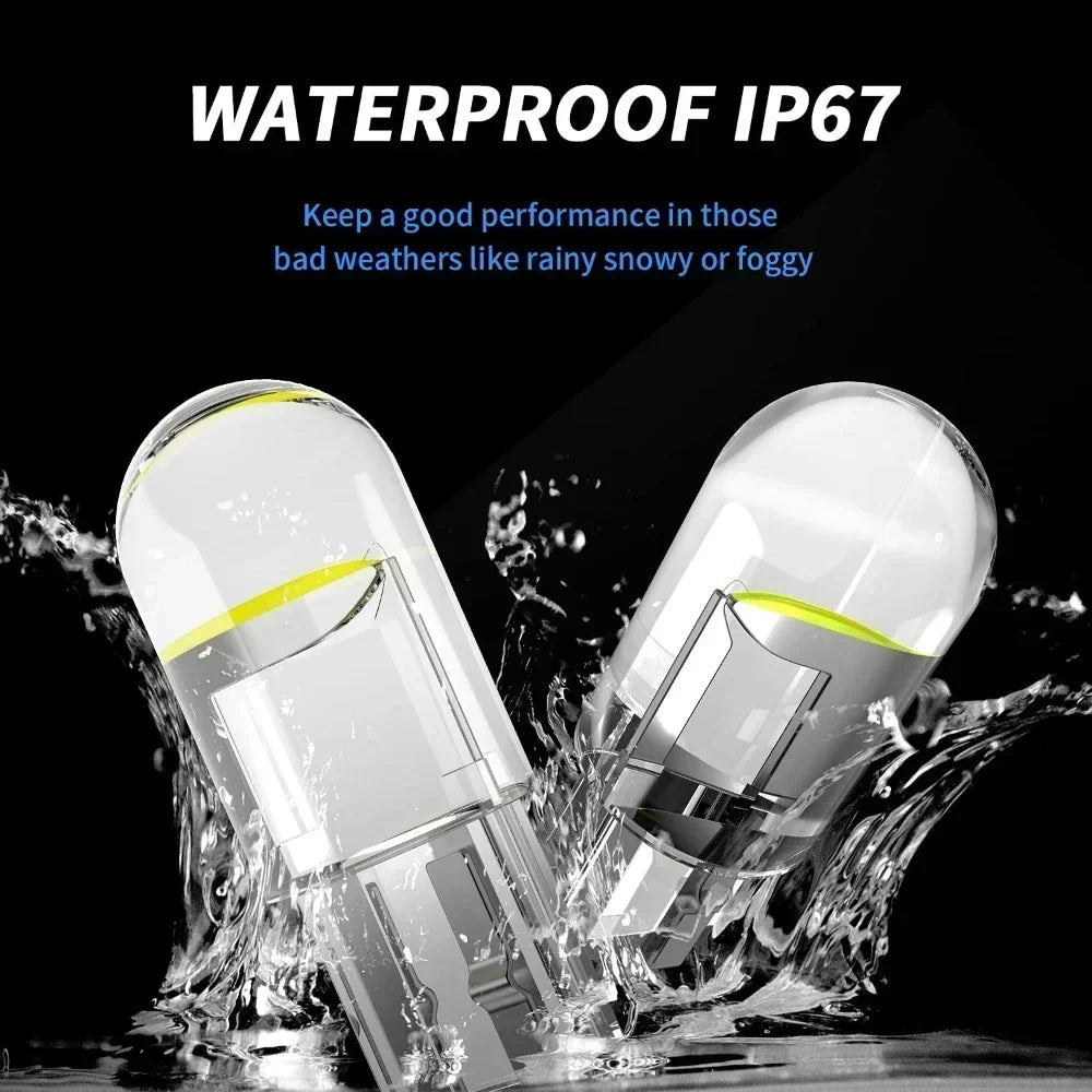 10PCS Ruiandsion T10 194 W5W Bulbs 3030 2SMD Canbus