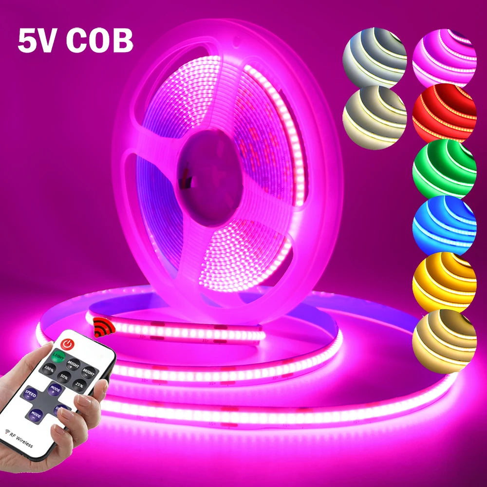 5V Dimmable Cob Remote Control Dimmer Kit Red Blue