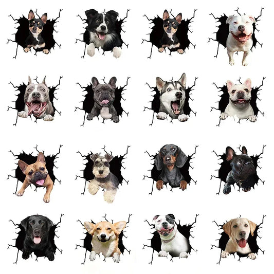 Stickers Motorcycle Puppy Broken Window 3D Simulation French