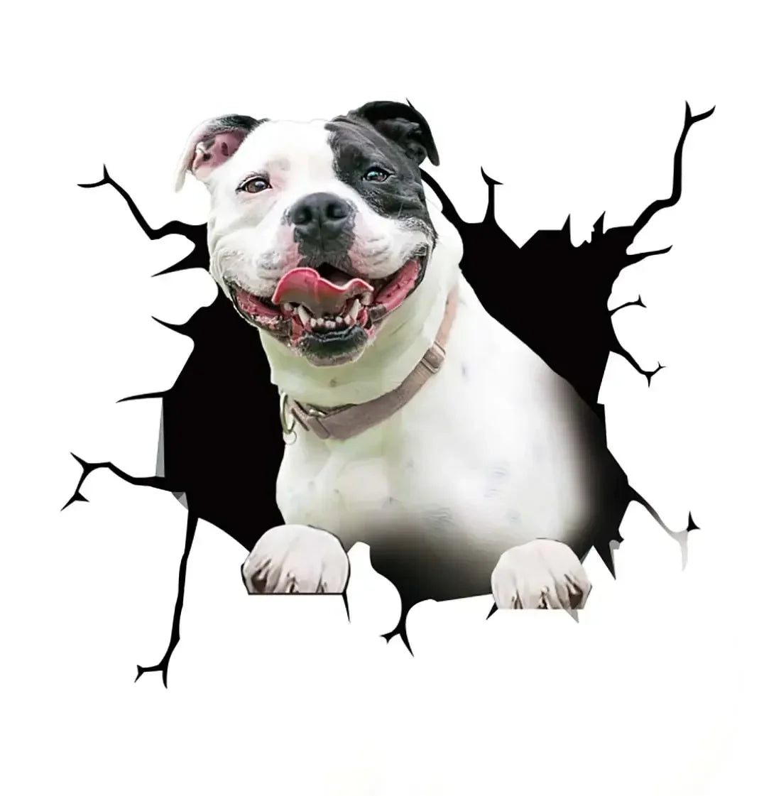 Stickers Motorcycle Puppy Broken Window 3D Simulation French