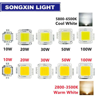 5PCS Lot 10W 20W 30W 50W 100W Cob Chip