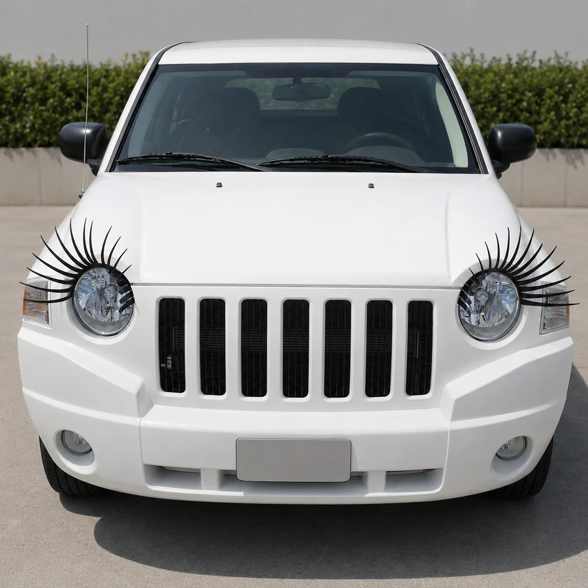 1pair 3D Black Eyelashes Stickers False Eyelash Sticker Headlight
