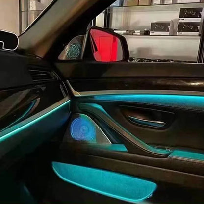 For Retrofit Ambient Lighting BMW 5 Series F10 F11 F18 Horn