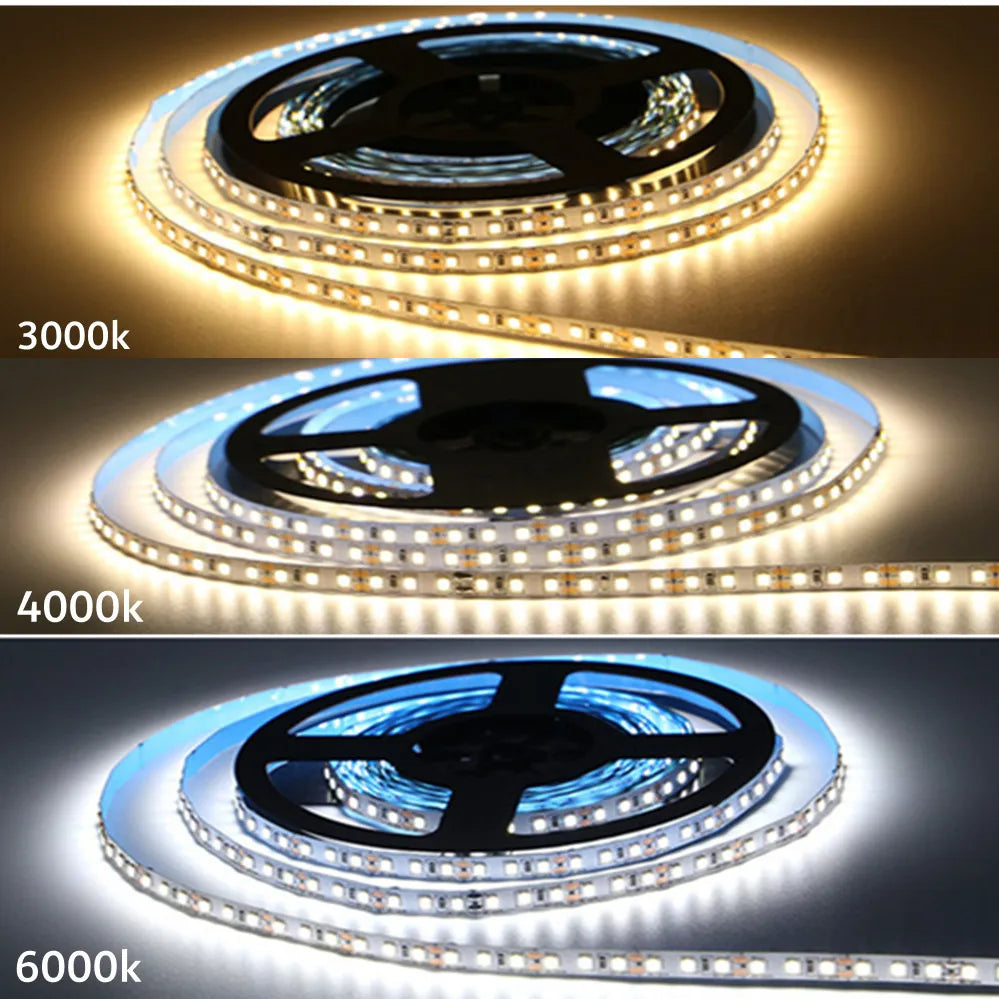 12V 24V 2835 Strip 5M 300 600 2400 Pixels