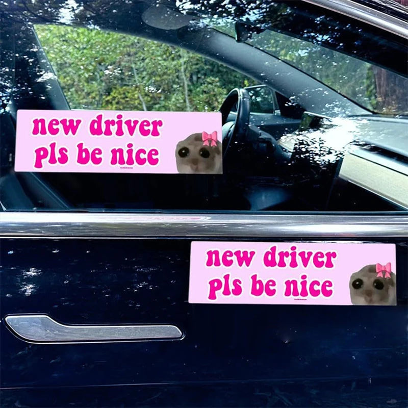 Sad Cat Bestie Driver Please Be Nice Sticker Funny