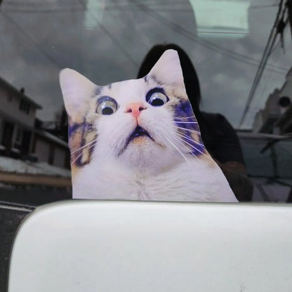 For Body Windshield Window Trunk Vinyl 1PC Scaredy Cat Stickers