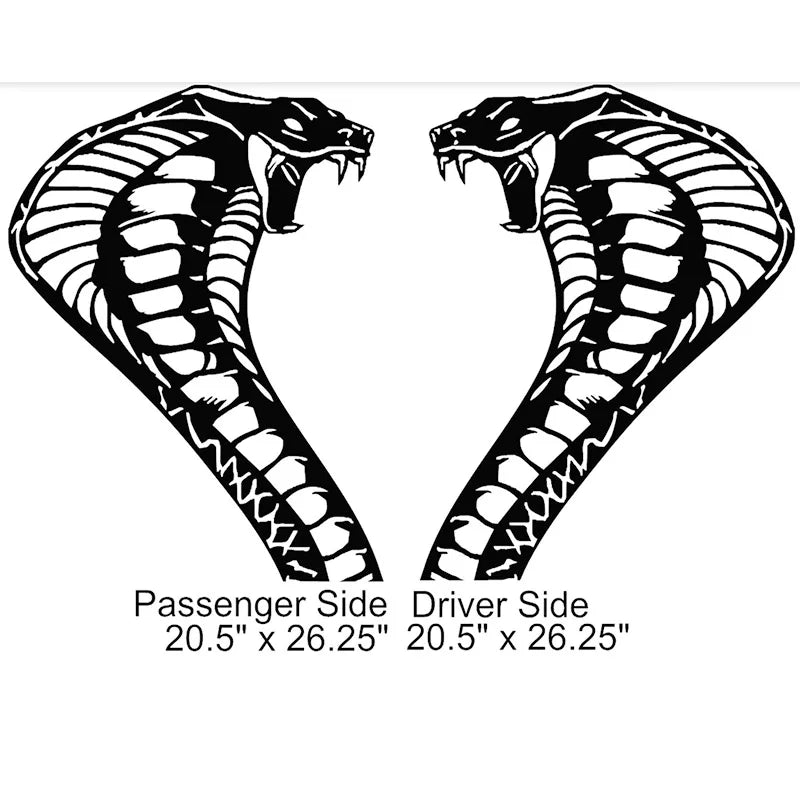 Cobra Snake Head Body Decal Vinyl Graphics 20.5x26.25 Inches